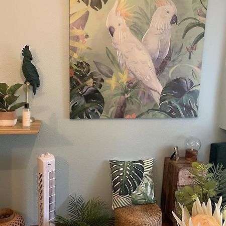 Apartament Escale Tropicale A Blois Zewnętrze zdjęcie