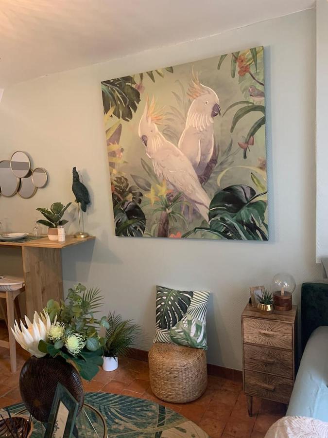 Apartament Escale Tropicale A Blois Zewnętrze zdjęcie