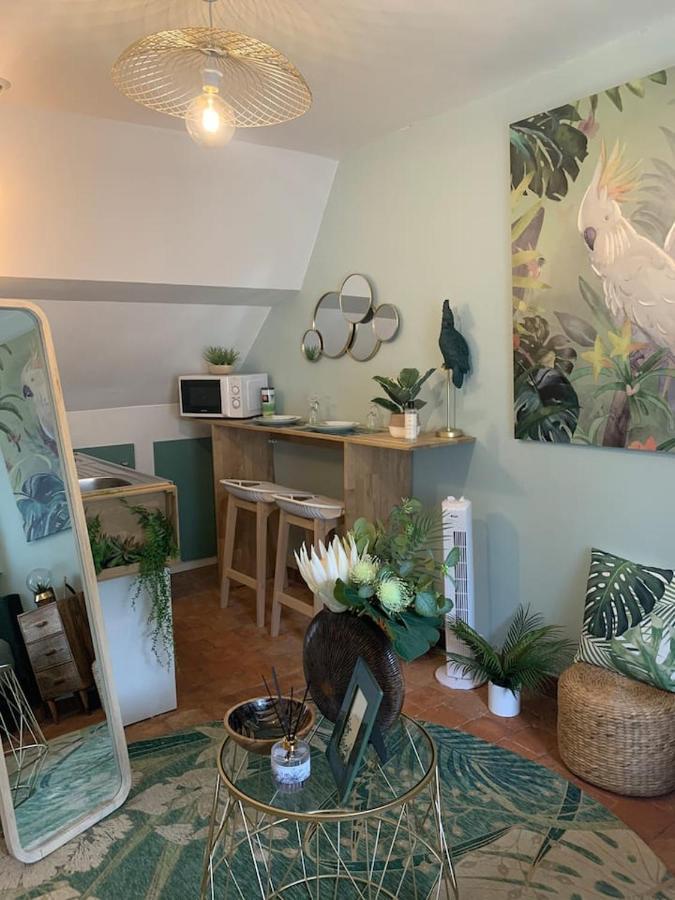 Apartament Escale Tropicale A Blois Zewnętrze zdjęcie